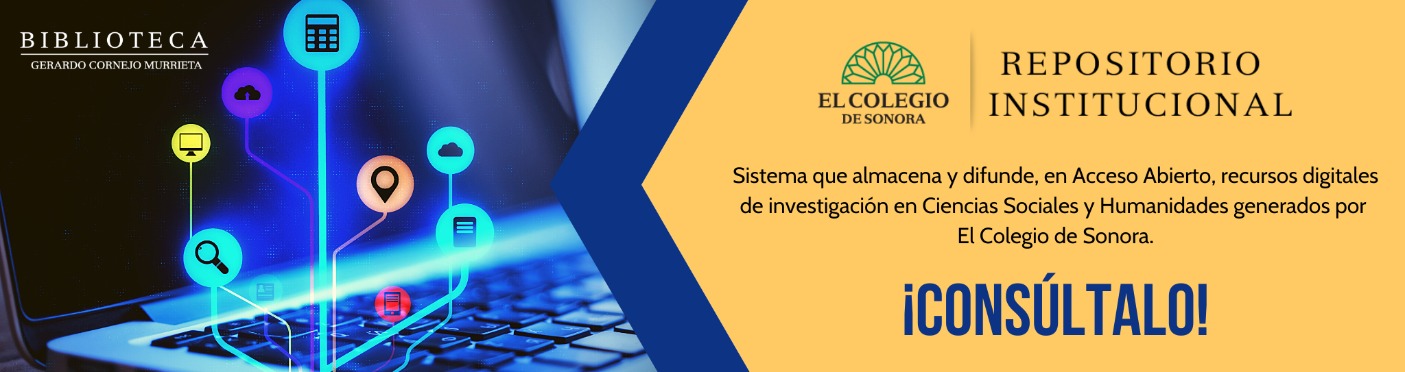 Repositorio Institucional